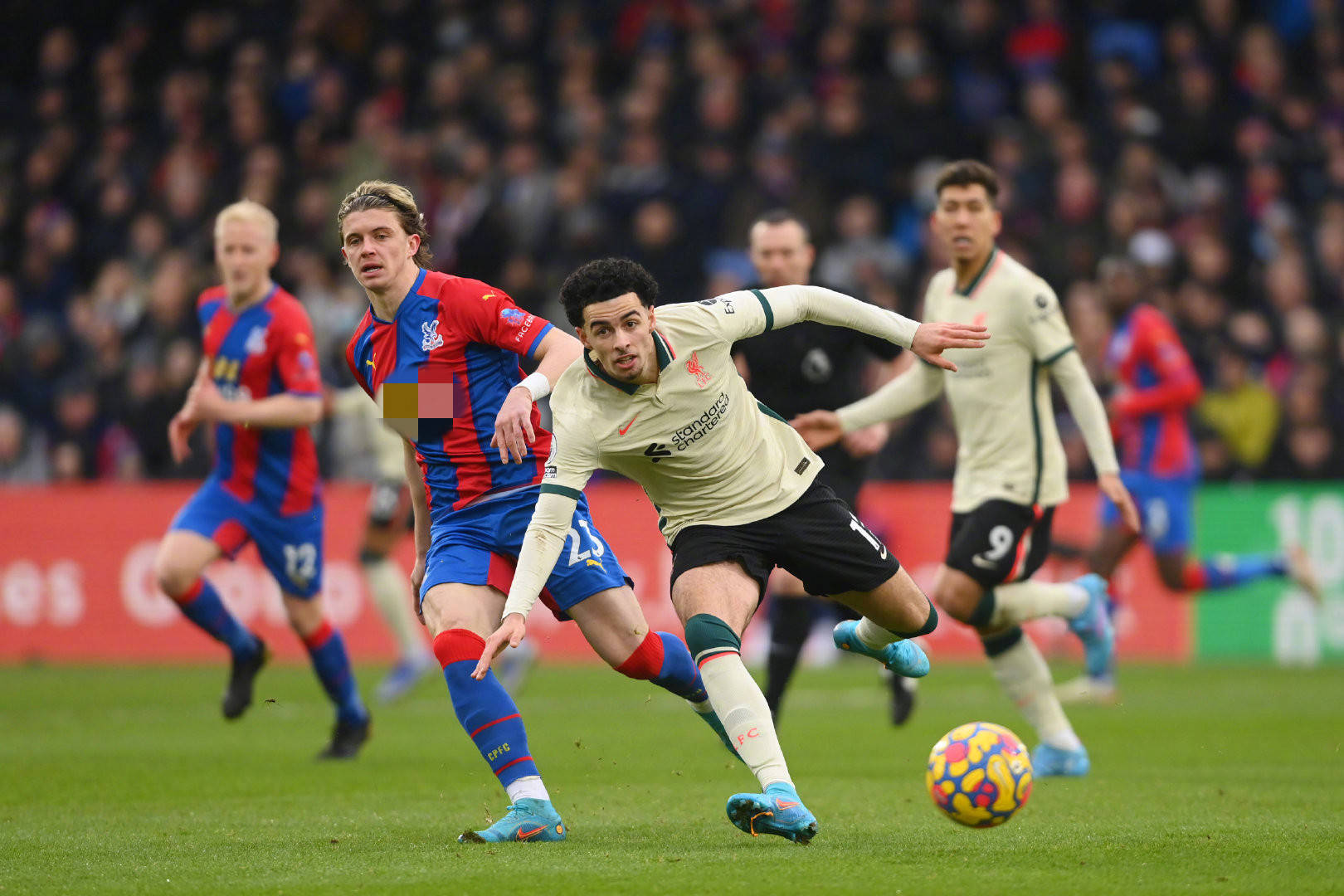 这次的伤情 这次的伤情